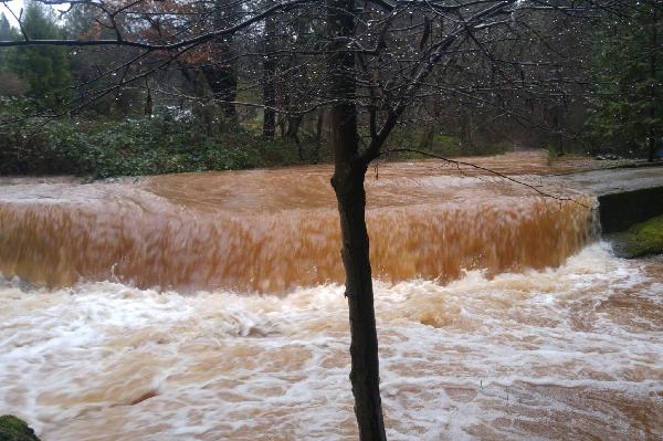 DW over DryCreek_SW2
