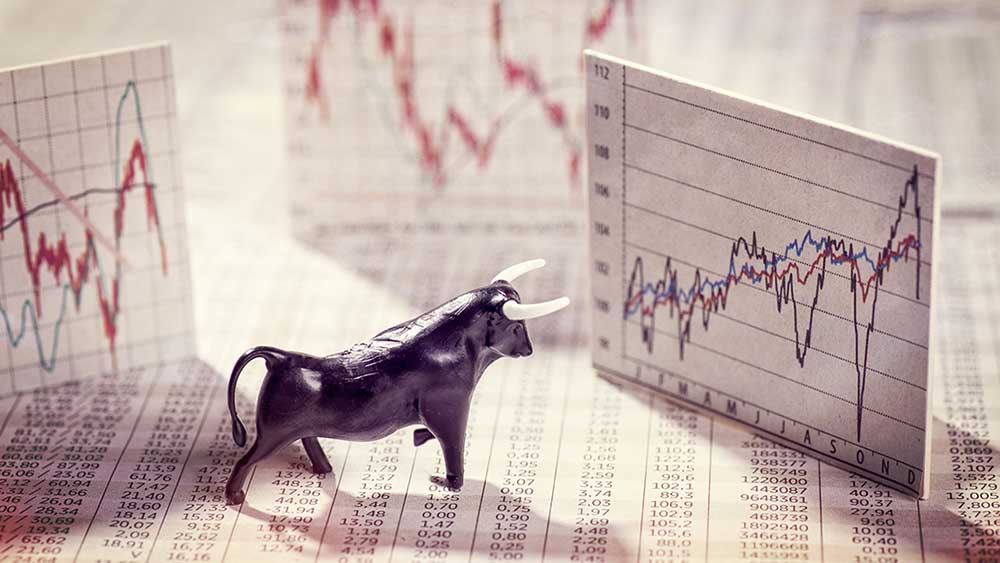 Bull